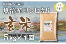KT12P347 〔玄米 選別品〕 令和6年産魚沼産コシヒカリ 玄米5kg （米太）