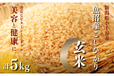 【玄米 選別品】令和7年産 先行予約 魚沼産コシヒカリ 玄米 5kg×1袋 米太【0020-KT06-01】
