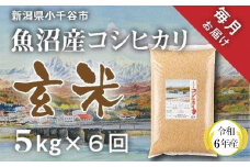 KT70P350 〔定期便 毎月〕〔玄米 選別品〕令和6年産 魚沼産コシヒカリ玄米定期便 5kg×6回【毎月お届け】（米太）
