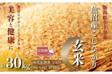 【玄米 選別品】令和7年産 先行予約 魚沼産コシヒカリ 玄米 定期便5kg×6回 （毎月お届け）米太【0020-KT09DB00-01】