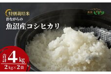 令和7年産 昔ながらの魚沼産コシヒカリ 精米4kg(2kg×2袋) 従来品種 農園ビギン 【0002-BN01-01】