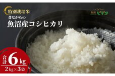 令和7年産 昔ながらの魚沼産コシヒカリ 精米6kg(2kg×3袋) 従来品種 農園ビギン 【0002-BN02-01】