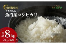 令和7年産 昔ながらの魚沼産コシヒカリ 精米8kg(2kg×4袋) 従来品種 農園ビギン 【0002-BN03-01】