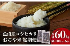 【6か月定期便(隔月発送)】 令和7年産新米 魚沼産コシヒカリ 精米10kg(5kg×2袋)×全6回 ※2025年10月上旬から発送予定 JA魚沼 【0002-JA09DB00-01】