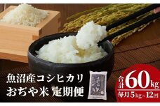 【12か月定期便(毎月発送)】 令和7年産新米 魚沼産コシヒカリ 精米5kg(5kg×1袋)×全12回 ※2025年10月上旬から発送予定 JA魚沼 【0002-JA07DB00-01】