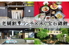 新潟県小千谷市 老舗割烹「居食亭東忠」ランチ利用券＆「錦鯉の里」入場券セット 1名様 登録有形文化財 日本庭園 泳ぐ宝石 東忠御前 【0002-0027-01】
