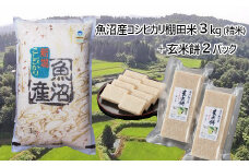 16P50 魚沼産コシヒカリ・棚田米3kg（精米）＋杵つき玄米餅2パック（約500g×2パック）（佐藤農場）