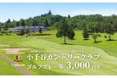 【小千谷カントリークラブ】ゴルフプレー券3,000円(1,000円×3枚) 緑豊かな風景を楽しみながらプレー 小千谷綜合開発 【0044-0001-01】