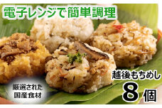 【国産具材のみ使用】モチモチ食感！新潟県産もち米の越後もちめし8個セット(七目・和牛ごぼう・焼豚・ちりめん山椒 各2個) 冷凍・レンジで簡単調理 保存料無添加 かまくら工房 【0012-0001-01】
