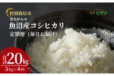 令和7年産 昔ながらの魚沼産コシヒカリ 精米20kg(5kg×毎月全4回) 農園ビギン【0002-BN10DB00-01】