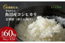 令和7年産 昔ながらの魚沼産コシヒカリ 精米60kg(5kg×毎月全12回) 農園ビギン【0002-BN14DB00-01】