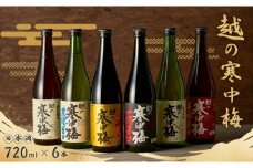 日本酒 越の寒中梅 6種類飲み比べセット 720ml×6本 淡麗辛口 新潟銘醸 【0002-0085-01】