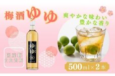 梅酒ゆゆ 500ml×2本 国産梅 白加賀梅 米焼酎 新潟銘醸 【0002-0032-01】
