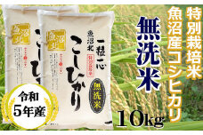 r05-20-3G 【令和5年産】【無洗米】特別栽培米 魚沼産コシヒカリ 10kg（5㎏×2袋）（(有)グリーン）白米 魚沼 米 