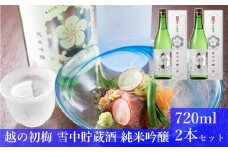 日本酒 純米吟醸 越の初梅 雪中貯蔵酒 720ml×2本 雪国でしか味わえない極上酒 新潟県 高の井酒造 【0002-0050-01】