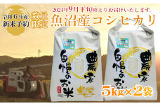 M24P233 【令和6年産 新米予約】《数量限定》令和6年産 魚沼産コシヒカリ5kg2袋 精米（宮内農園）早期受付 2024年9月下旬頃から発送開始 白米 魚沼 米