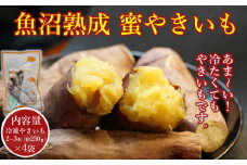 【魚沼熟成】紅はるかの蜜やきいも 4袋セット ※冷凍便 やきいも 焼き芋 熟成 ベニハルカ 個別梱包 小千谷市産 農園ビギン 【0002-0219-01】