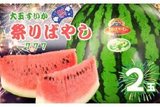 【先行予約】【数量限定】 新潟県小千谷産 令和7年度産 大玉スイカ「祭りばやし777」 2個 ※7月下旬～8月上旬発送予定 シャリシャリ みずみずしい 甘い 農園ビギン 【0002-0247-01】