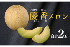 【先行予約】【数量限定】 新潟県小千谷産 令和7年度産 メロン「ユウカ」 約2kg×2個 ※7月下旬～8月上旬発送予定 甘い 芳醇で優しい香り 優香 幻のメロン 農園ビギン | メロン めろん 果物 くだもの お取り寄せ ギフト【0002-0248-01】