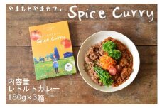やまもとやまカフェのスパイスカレー (180g×3箱セット) レトルトパウチ やまもとやまCAFE本 【0049-0001-01】