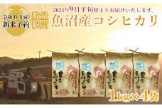 M10P236 【令和6年産 新米予約】《数量限定》令和6年産 魚沼産コシヒカリ1kg×4袋 精米（宮内農園）早期受付 2024年9月下旬頃から発送開始 白米 魚沼 米