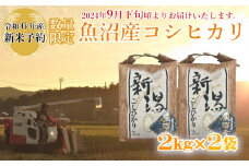 【数量限定】令和6年産 魚沼産コシヒカリ 2kg×2袋 精米 宮内農園 【0002-0267-01】