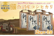M19P238 【令和6年産 新米予約】《数量限定》令和6年産 魚沼産コシヒカリ2kg×4袋 精米（宮内農園）早期受付 2024年9月下旬頃から発送開始 白米 魚沼 米