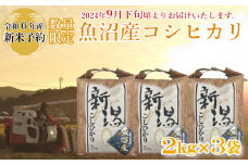 M14P235 【令和6年産 新米予約】《数量限定》令和6年産 魚沼産コシヒカリ2kg×3袋 精米（宮内農園）早期受付 2024年9月下旬頃から発送開始 白米 魚沼 米