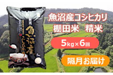 S88P517 【先行予約】【令和7年産 新米】魚沼産コシヒカリ棚田米 白米5kg×6回（隔月お届け）佐藤農場 ※2025年9月下旬以降より順次発送予定