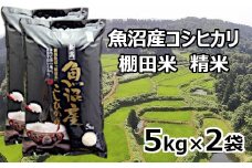 S29P515 【先行予約】【令和7年産 新米】魚沼産コシヒカリ棚田米 白米 5kg×2袋 佐藤農場 ※2025年9月下旬以降より順次発送予定