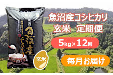 【先行予約】【令和7年産 新米玄米】【12か月定期便(毎月全12回)】魚沼産コシヒカリ棚田米 玄米5kg×12回(毎月お届け)※2025年9月下旬以降より順次発送予定 佐藤農場 【0018-0029DB00-01】