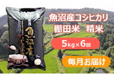 【先行予約】【令和7年産 新米】【6か月定期便(毎月全6回)】魚沼産コシヒカリ棚田米 白米5kg×6回 毎月お届け ※2025年9月下旬以降より順次発送予定 佐藤農場 【0018-0021DB00-01】