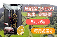 【先行予約】【令和7年産 新米玄米】【6か月定期便(毎月全6回)】魚沼産コシヒカリ・棚田米 玄米5kg×6回(毎月お届け)※2025年9月下旬以降より順次発送予定 佐藤農場 【0018-0027DB00-01】