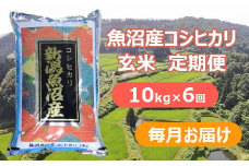 【先行予約】【令和7年産 新米玄米】【6か月定期便(毎月全6回)】魚沼産コシヒカリ・棚田米 玄米10kg×6回(毎月お届け)※2025年9月下旬以降より順次発送予定 佐藤農場 【0018-0028DB00-01】