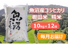 【先行予約】【令和7年産 新米】【12か月定期便(毎月全12回)】魚沼産コシヒカリ・棚田米 白米10kg×12回(毎月お届け)※2025年9月下旬以降より順次発送予定 佐藤農場【0018-0024DB00-01】