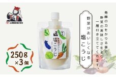 【簡単シリーズ】野菜がおいしくなる塩こうじ (250g×6個入) 塩麹 万能調味料 山崎醸造 【0002-0236-01】