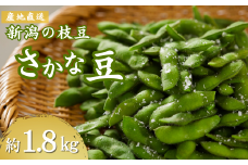 ＜先行予約＞小千谷産枝豆（品種:さかな豆）約1.8kg （9月下旬～10月中旬発送予定）冷蔵  おつまみ えだまめ 新潟 【0051-0001-01】