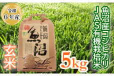 15P242 ＜数量限定＞令和6年産 魚沼産コシヒカリJAS有機栽培米 5kg 玄米（魚沼わたなべ農園） 魚沼 有機 米