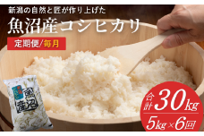 【令和7年産 新米予約 定期便】魚沼産コシヒカリ 精米計30kg(5kg×6回) 毎月お届け 白米 魚沼 米 共栄農工社【0002-KY04DB00-01】