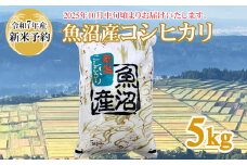 【令和7年産 新米予約】 魚沼産コシヒカリ 精米5kg(5kg×1袋) ※2025年10月中旬頃から発送開始 白米 共栄農工社 【0002-0020-01】