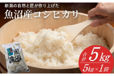 【令和7年産 新米予約】魚沼産コシヒカリ 精米5kg(5kg×1袋) ※2025年11月下旬頃から発送開始 白米 精米 新潟県産コシヒカリ 共栄農工社【0002-KY01-01】