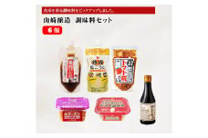 山崎醸造 調味料6個セット (人気の6種類×各1個) 塩麹 万能調味料 山崎醸造 【0002-0241-01】