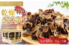 新潟県小千谷市産 【特大サイズ】乾燥きくらげ (12g×5袋) 木村食品 【0002-0289-01】