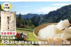 W10P436 【数量限定 令和6年産】わかとち産 魚沼コシヒカリ 特別栽培 棚田米 特選 2kg 箱入 生産者限定 贈答 白米 魚沼 新潟