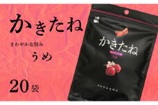 かきたね Basic 002 うめ 20袋セット 米菓 柿の種 阿部幸製菓 【0002-0340SV02-01】
