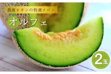 【先行予約】令和7年度産 メロン オルフェ 2玉 農園ビギン 【0002-0330-01】