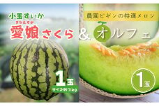 【先行予約】 小玉スイカ「愛娘」＆メロン「オルフェ」セット 各1玉 農園ビギン 【0002-0332-01】