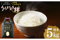 【JGAP認証農場】令和7年産 魚沼産コシヒカリ 精米5kg(5kg×1袋) うちがまき絆【0002-UK01-01】