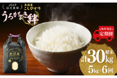 【JGAP認証農場】令和7年産 魚沼産コシヒカリ 定期便 計30kg（5kg×1袋×毎月全6回） うちがまき絆【0002-UK06DB00-01】