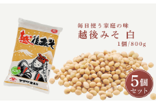 越後みそ白 800g×5個 山崎醸造【0002-0359-01】